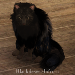 питомцы кошки в black desert online