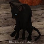 питомцы кошки в black desert online