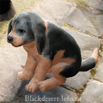 питомцы собаки в black desert online