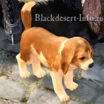 питомцы собаки в black desert online