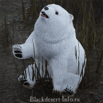 питомцы медведи в black desert online