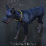 питомцы собаки в black desert online