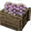 коробка медовой травы